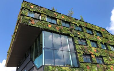 20 Easy Sustainable Living Tips for Busy Professionals