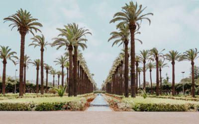 Top 20 Differences Between Morocco and Algeria