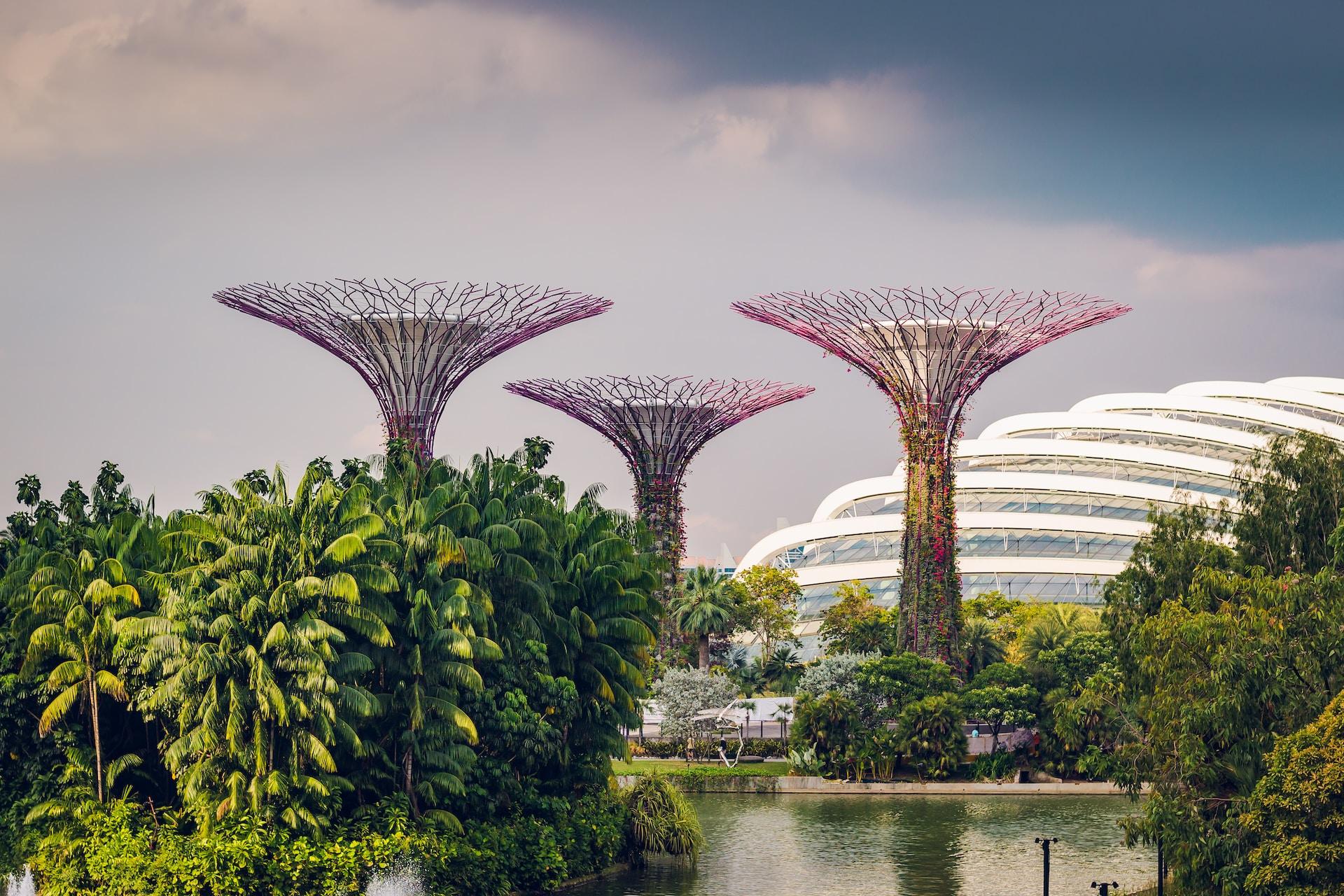 30 Best Examples How Can Nature Inspire Us - BitGlint