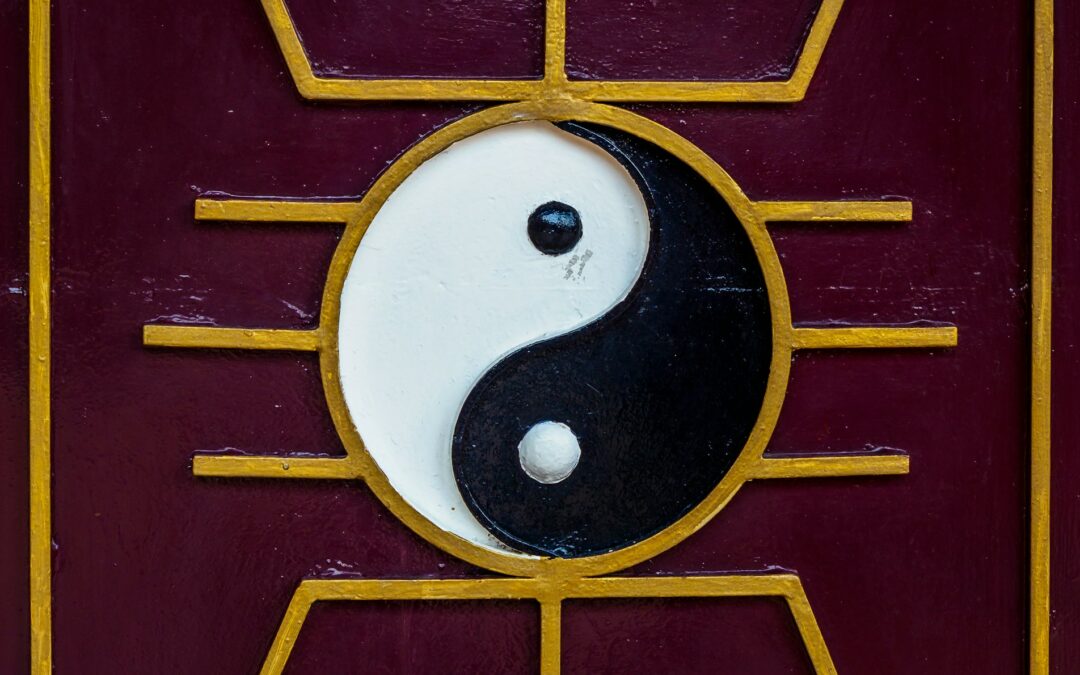 30 Best Yin Yang Examples & Definition