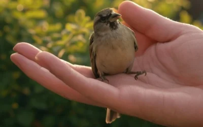 30 Gentleness Examples & Meaning